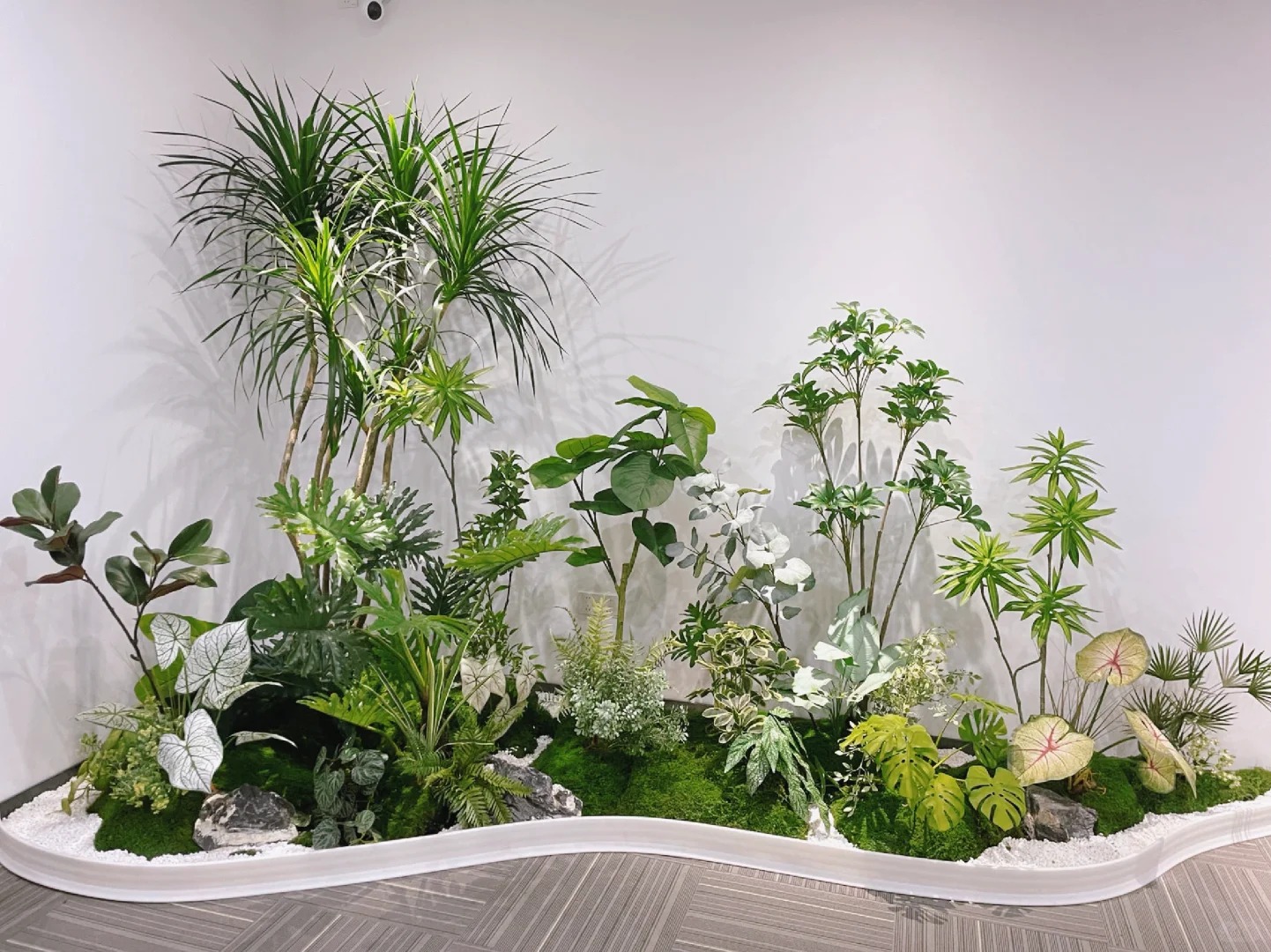 宁波绿植租赁商家-杭州湾绿色植物租用费用-海曙花木租赁常见疑问-余姚绿植租赁市场